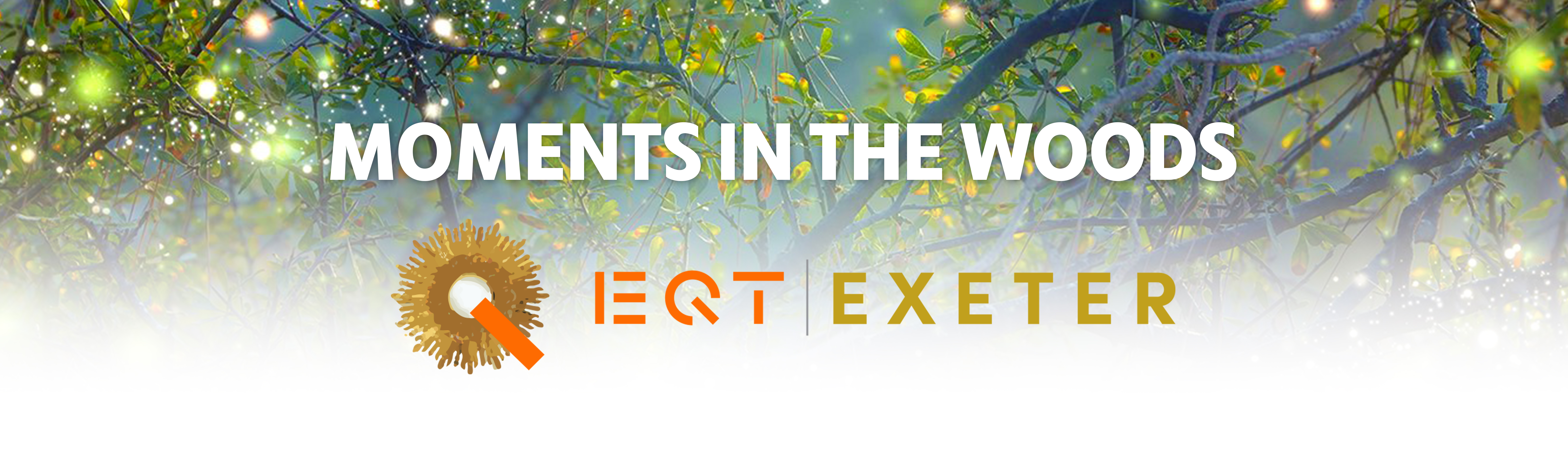 Arden Granfallon Display 3 