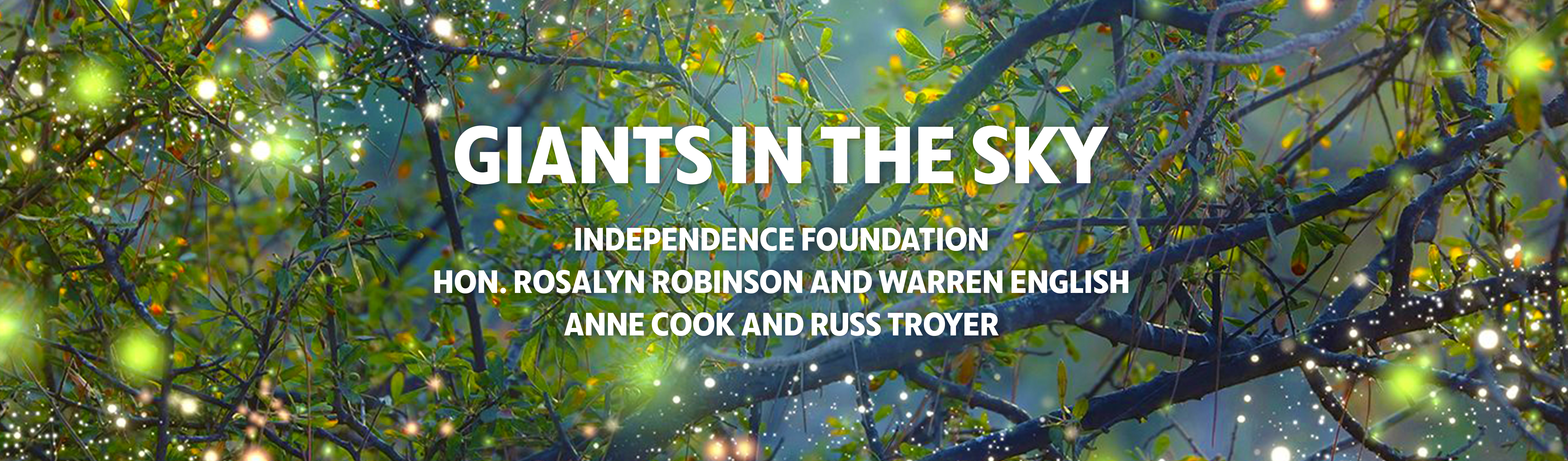 Arden Granfallon Display 5