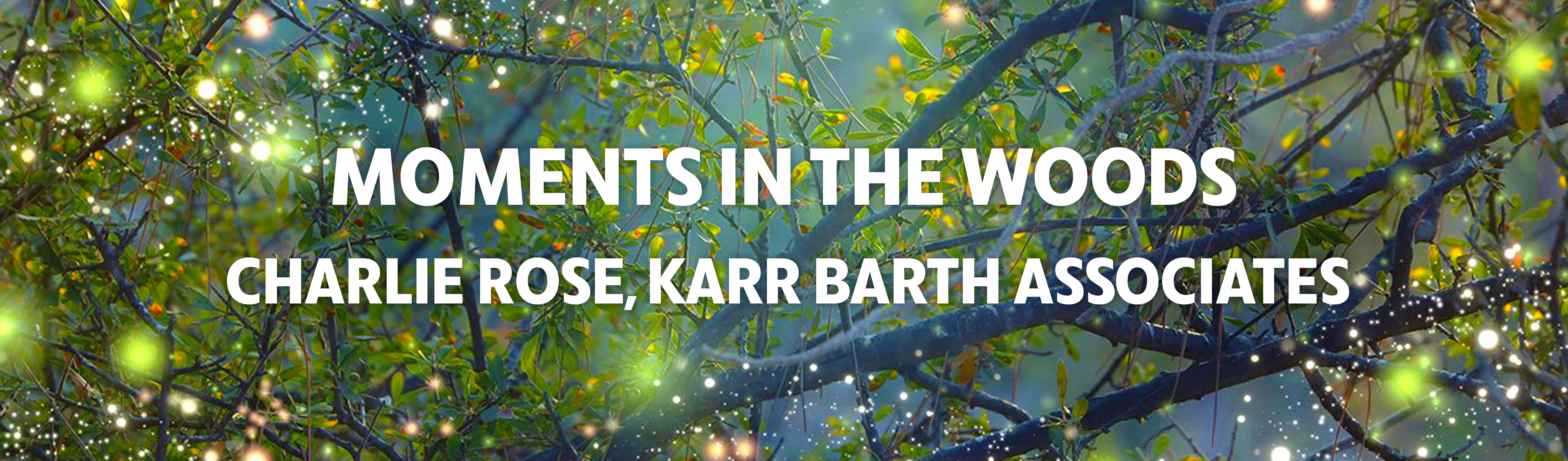 Arden Granfallon Display 8