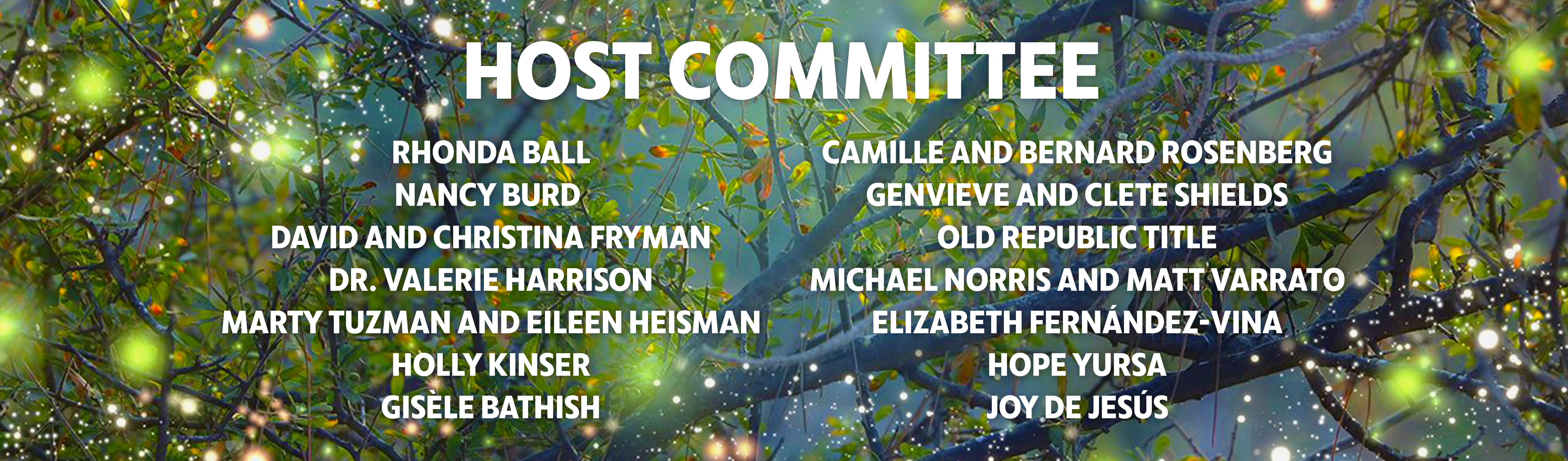 Arden Granfallon Display 10