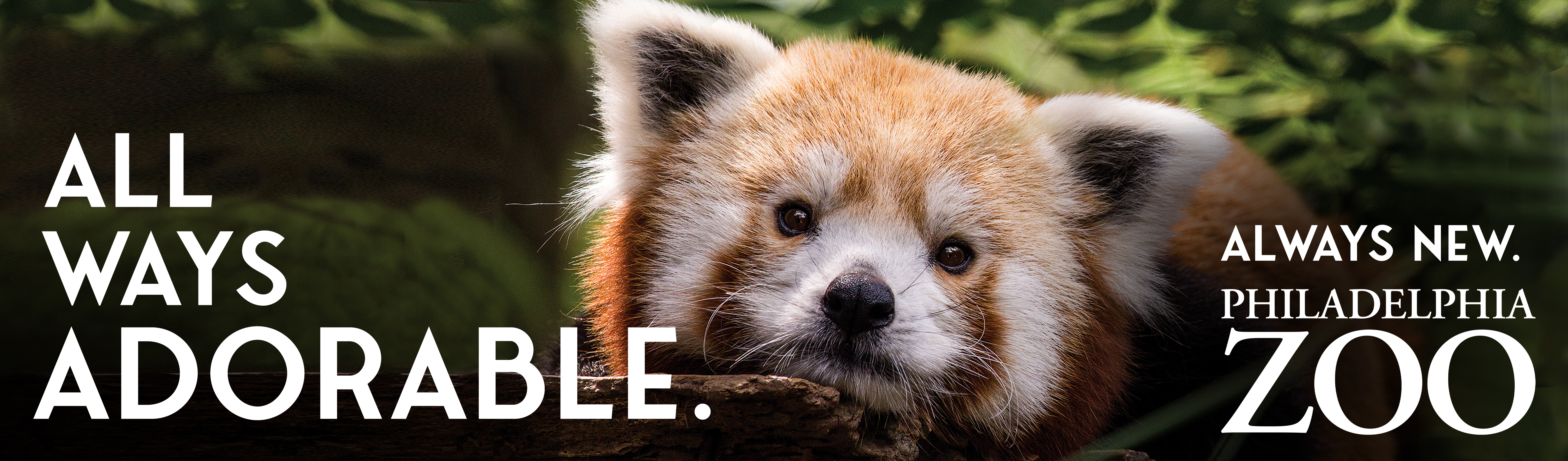Philadelphia Zoo Ad 