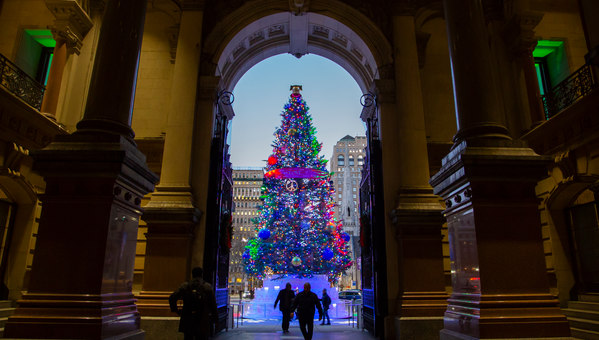 City Hall Holiday Tree