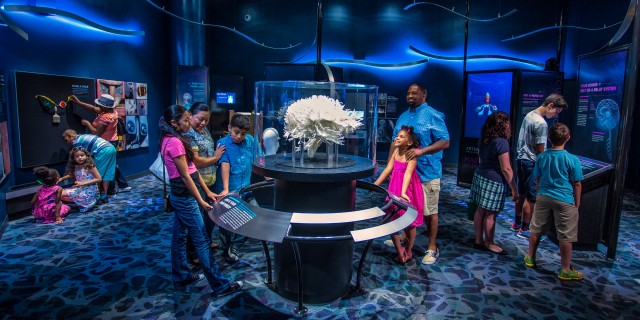 The Franklin Institute