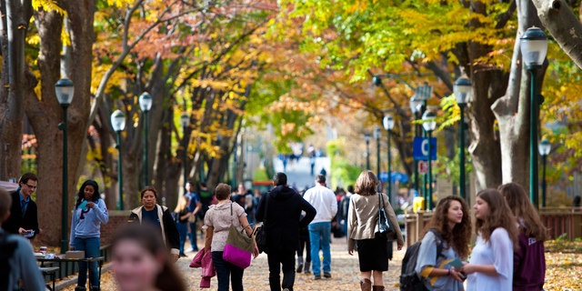 Locust Walk