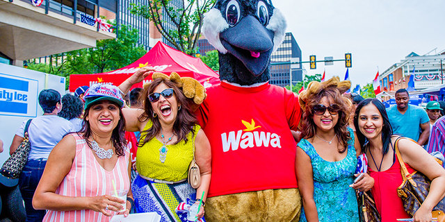 Wawa Hoagie Day