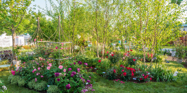 Flower Show