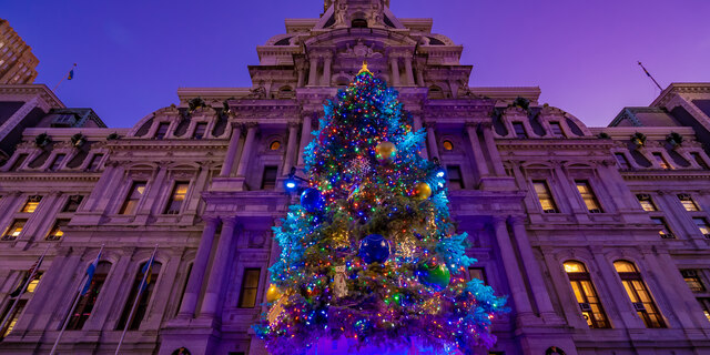 City Hall Christmas Tree