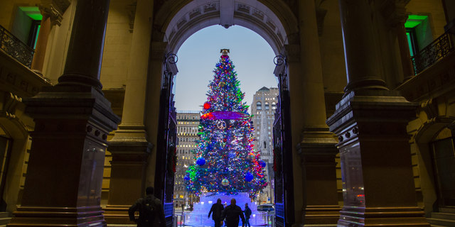 Holiday Tree with Visitors
