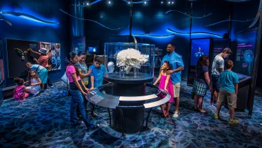 The Franklin Institute