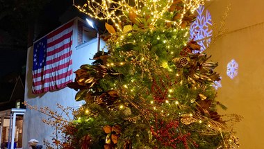 Betsy Ross House Courtyard Tree