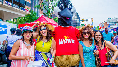 Wawa Hoagie Day