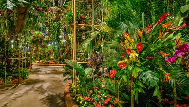 Flower Show