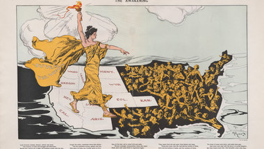 Liberty 1915: One Cartoon, Many Stories