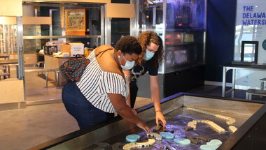 Independence Seaport Museum