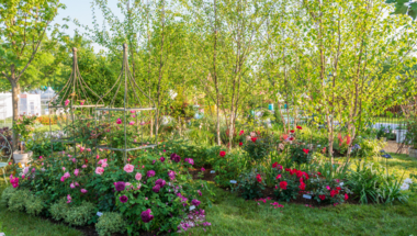 Flower Show