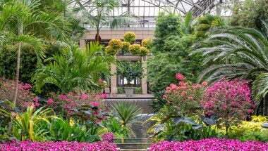 Longwood Gardens