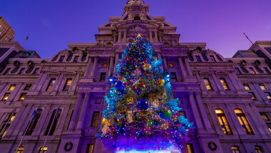 City Hall Christmas Tree