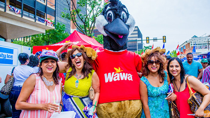 Wawa Hoagie Day